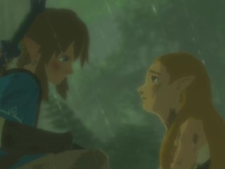 Zelda: Germane To Be Beneficial To The Unprincipled Dispirited Pictures